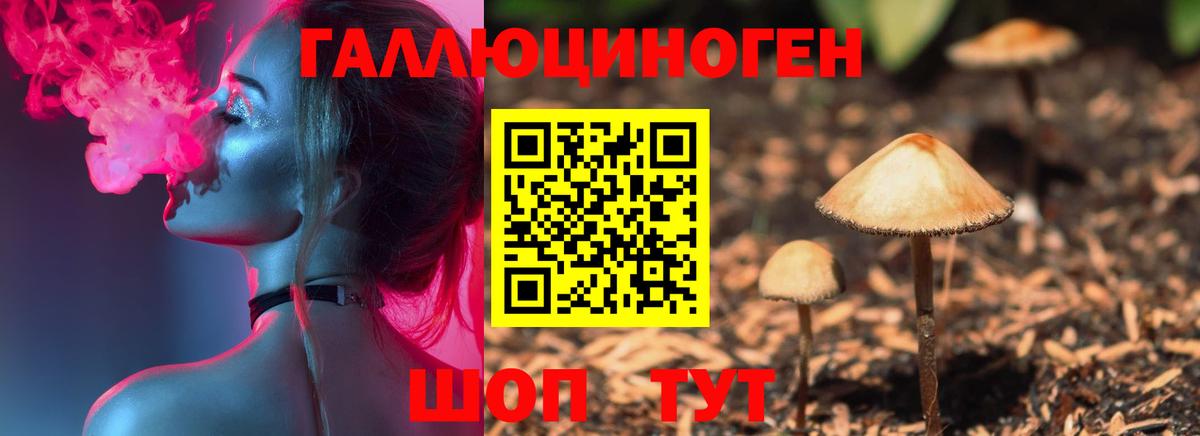 Псилоцибиновые грибы Psilocybine cubensis Екатеринбург